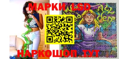 гидра Новозыбков