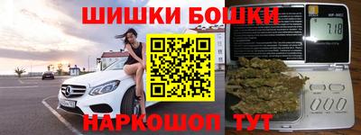 гидра Новозыбков