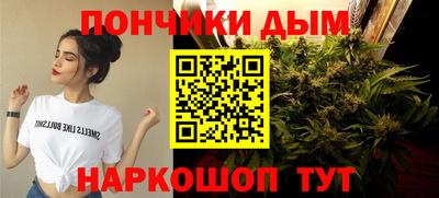 гидра Новозыбков