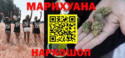 гидра Новозыбков