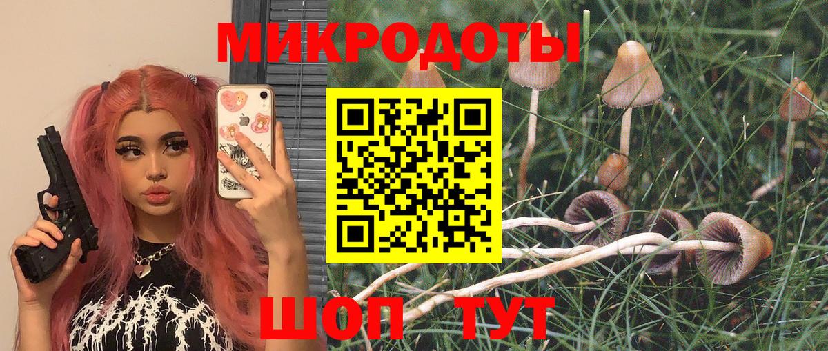 Псилоцибиновые грибы мухоморы Северск