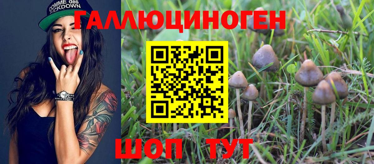 Галлюциногенные грибы GOLDEN TEACHER  Вход с VPN  Северск 