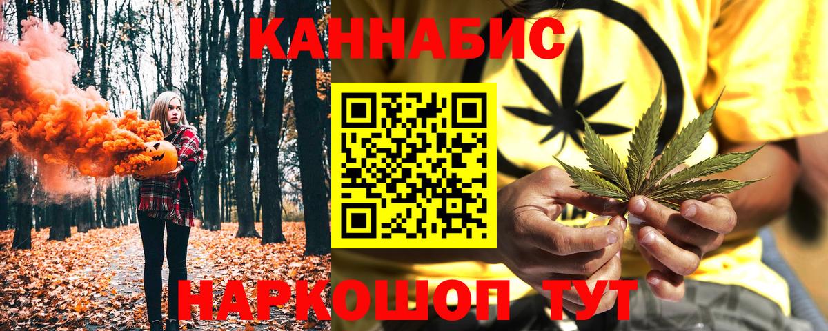 Каннабис план Северск